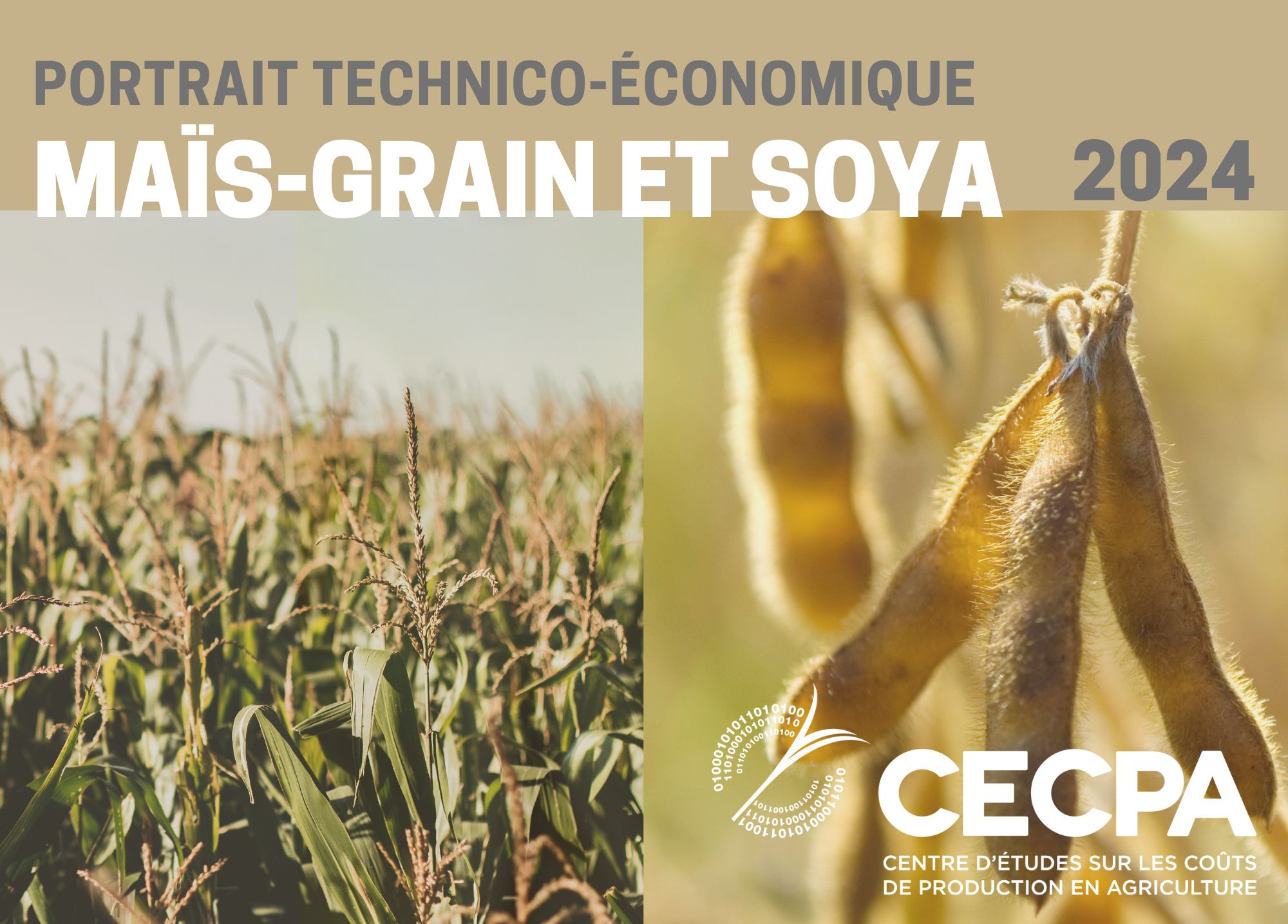 étude : PORTRAIT TECHNICO-ÉCONOMIQUE - MAÏS-GRAIN ET SOYA 2024